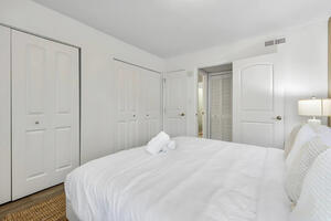 South Tampa Stay Near Bayshore