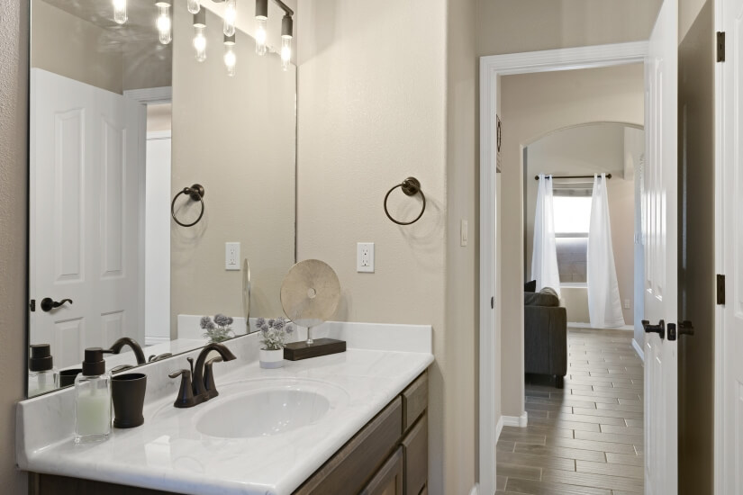 Guest bathroom view 1