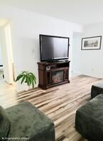 Livingroom with electric fireflacce
