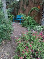 Butterfly garden with bench to relax