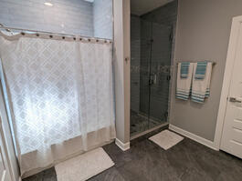 Master bathroom: separate tub and shower