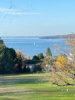 View from the house