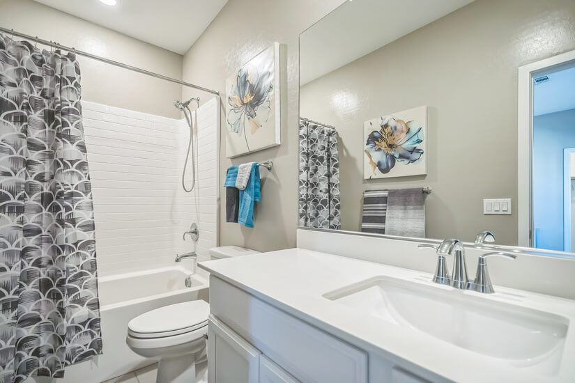 Queen Ensuite Bath Pic2