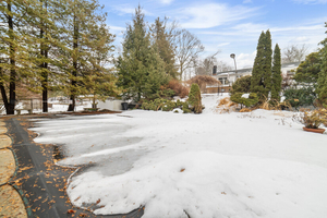 Backyard with Covered Pool Area and Private Side Yard