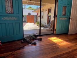 front door