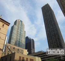 Beautifully Furnished Gold Coast Gem
