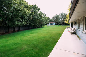 Large Backyard