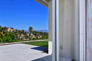 Backayard