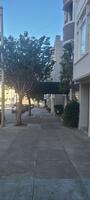 Designer Finished Luxury Condo Rental