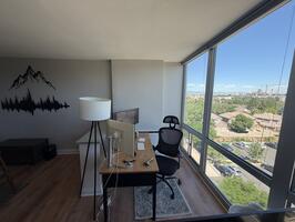 Luxury MidCentury Condo in Cherry Creek