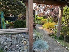 Peak of the gardens. Including humming birds