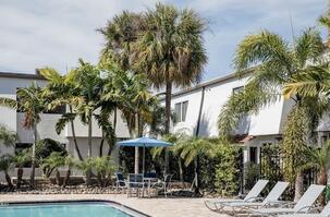 South Tampa Stay Near Bayshore