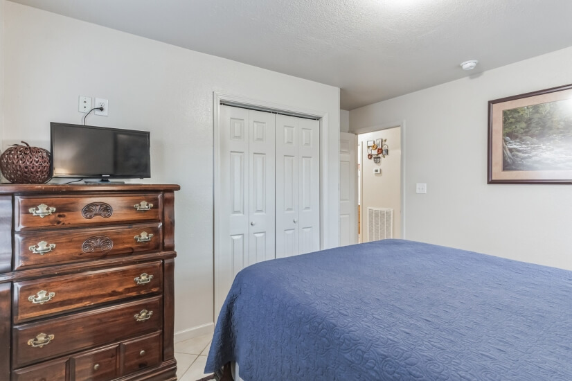 Steaming TV w/Full size closet