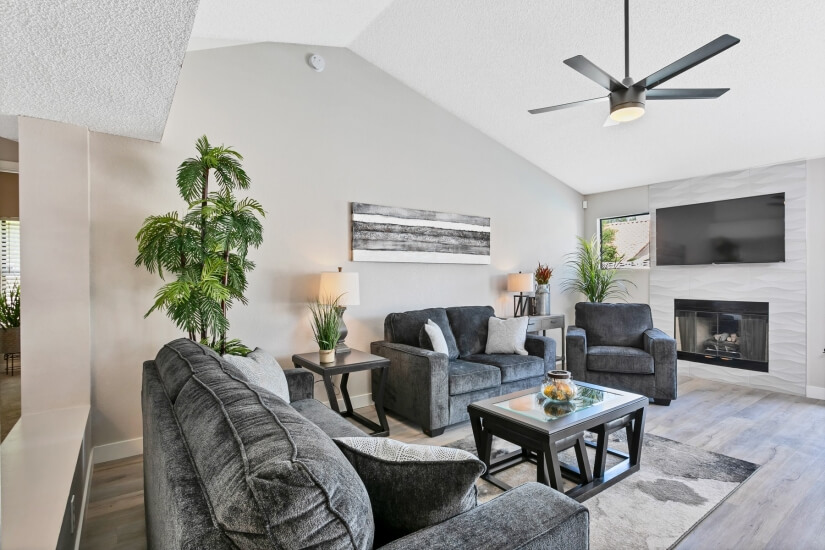 Living Room/Fireplace