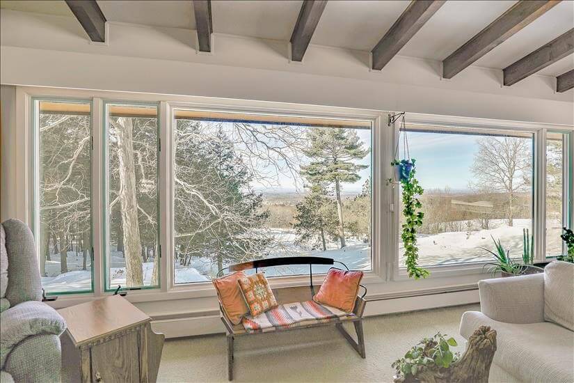 See deer and turkey from the living room