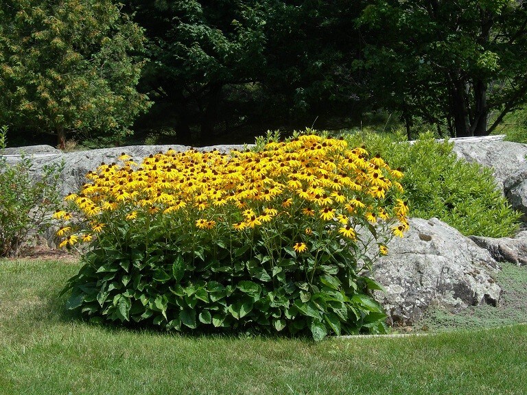 Furnished Remote Work Dream near Albany 