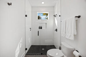 Primary Shower