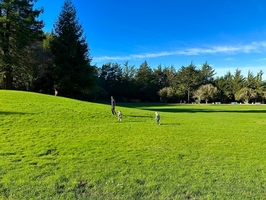 Luxury Coastal Retreat I 15 min to SF