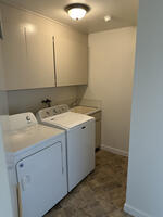Laundry w/ essential cleaning items and iron.