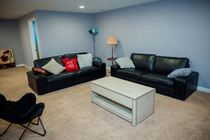 Basement living room