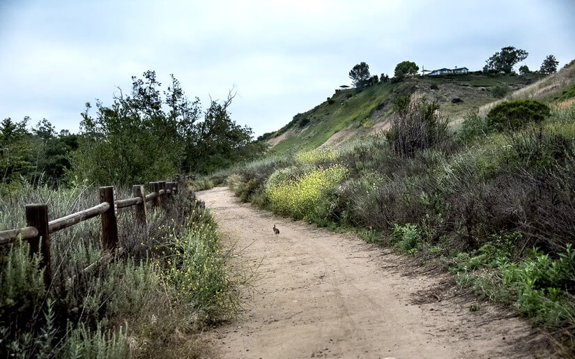 Hiking Trails