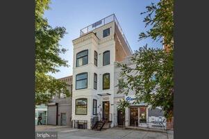 Modern DC Living for the Pros