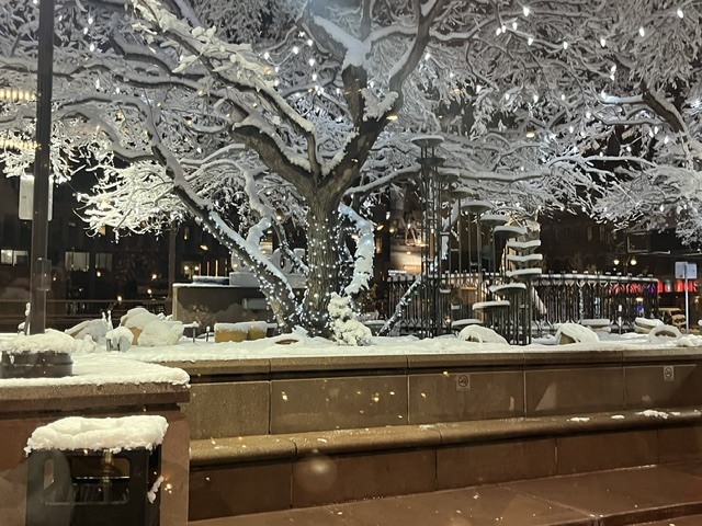 Winter Wonderland!