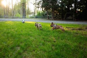 Room for everyone to play ball outside