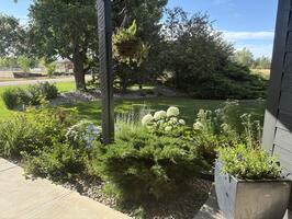 Front Gardens