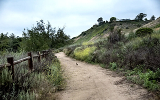Hiking Trails