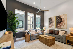 Comfortable, professionally furnished living