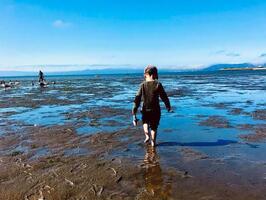 Alameda Beach at low tide