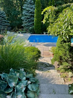 Serene Pool Setting with Garden Path