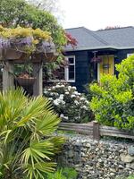 Spring time in Broadview