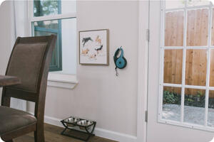 Fit for a Queen  Pool Retreat 