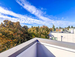 Stylish and Sunny West Seattle Townhome 