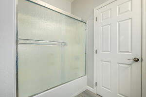 Master Bath Tub & Shower