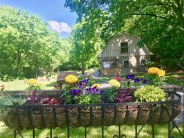 Nature blossoms in the Barnstead pasture.