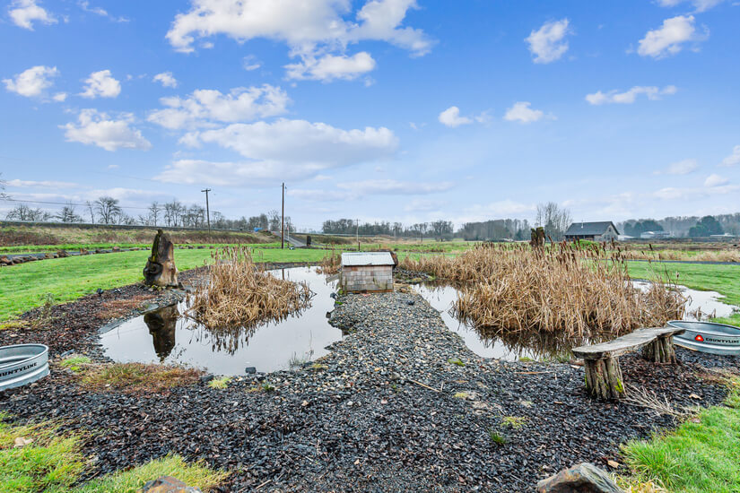 One of 2 ponds on the property.