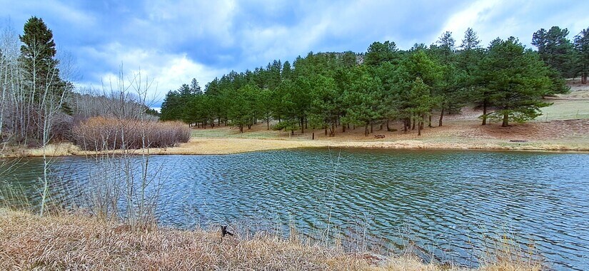 Pond located on the lower section on the ranch