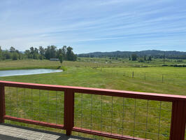 Quiet and Beautiful Home In WA