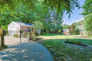 back yard