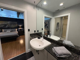 large mirrored vanity sink