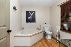 Master bathroom separate shower not in view