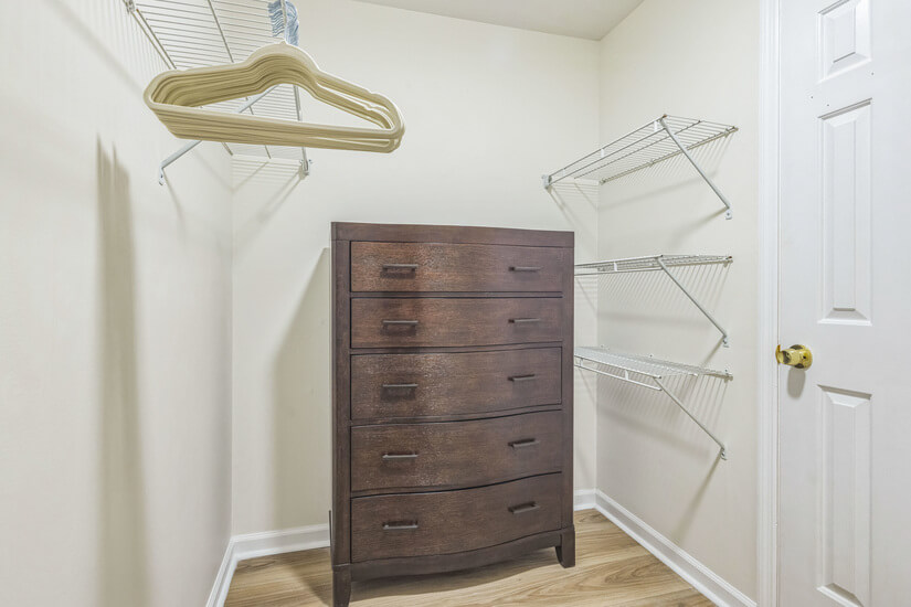 Kickback and Enjoy the Savannah River