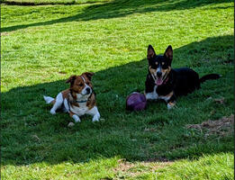 Clay and Bada Bing
