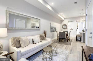 Modern DC Living for the Pros