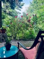 Private 1 BDRM Garden Suite with Parking