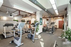 Workout Room - Cardio area