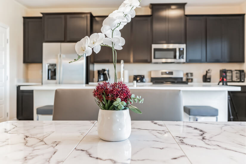 Aliante North Las Vegas Furnished Rental